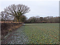 Farmland, West Meon