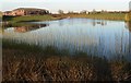 Small lake in Grove Park