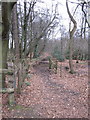 Footpath into Finlow Hill Wood