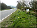 Footpath marker to Horton Hall