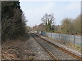 The Cwmbargoed branch near Nelson, looking N/W