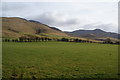 Fields near Peter House Farm