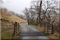 SH9625 : Cattle grid on mountain road to Bala by Roger Davies