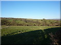 View northeast from High Whittaker Farm