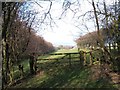 Footpath into the field