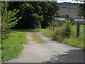 Track to Chinslade Farm