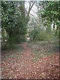 SE2130 : Pathway - from Tong Church to Tong Hall by Betty Longbottom