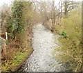 Afon Lwyd, Lower Pontnewydd, Cwmbran