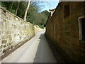 A road alongside Fyling Hall School