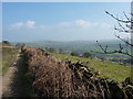 On a bridleway going north to Briargrove Farm