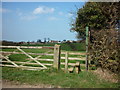 A footpath to Hawsker