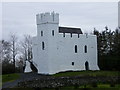 M2343 : Cargin/Carraigin Castle by dougf
