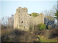 N1131 : Doon Castle by dougf