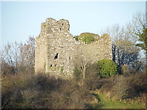 N1131 : Doon Castle by dougf