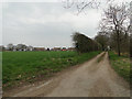 Housing off Mill Road, Marsham