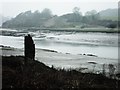 Mudflats on the Western Cleddau