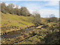 The River West Allen above Wolf Cleugh