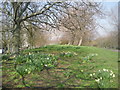 Green Chain Walk in Thamesmead