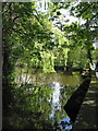 Mill pond and dam wall, Nether Alderley Mill NT