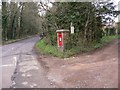 Pillar box on Elstead Road between Grenville Road and bridleway