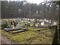 Cemetery on Woolfords Lane near Elstead