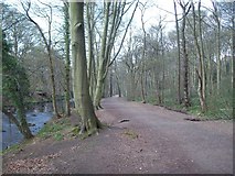 SK3192 : Woodland Path by the River Don by Jonathan Clitheroe