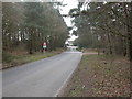 Holt Heath, cattle grid