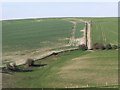 TQ3211 : Parallel bridleways near Ditchling Beacon by nick macneill