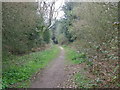 Footpath, Bleak Hill