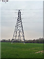 Pylons, Snodland