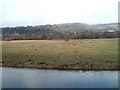 Neath Estuary Grazing Marsh