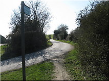TQ2010 : Restricted byway over Windmill Hill by Dave Spicer