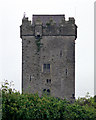 R3872 : Castlefergus Castle by Roger Diel
