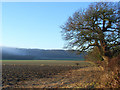 Farmland, Aston Rowant