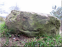 SJ1962 : A Loggerheads boundary stone? by John S Turner