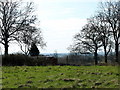 2011 : Rough grazing at the top of Ram Hill