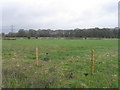 Fields at Adanac Park