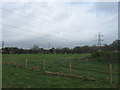 Fields at Adanac Park