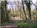 Footpath to  the B1069 Church Road