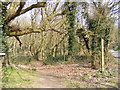TM3958 : Footpath to Snape Common by Geographer