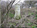 Milestone, Whittonditch