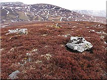 NN7990 : Eastern slopes of Meall an Dubh-chadha by wrobison