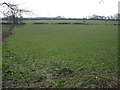 Farmland near Alton