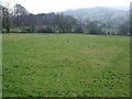 Farmland near Hill Crest