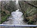 The river Clywedog from a footbridge