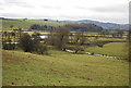 SO4172 : The Teme Valley near Leintwardine by N Chadwick