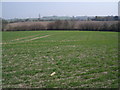 Farmland off the B6039