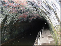 SJ2837 : Chirk "Darkie" Tunnel on the Shropshire Union Canal by Eirian Evans