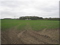 View near Askerton Hill