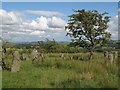 Ancient stone circle above Wooley, Allendale